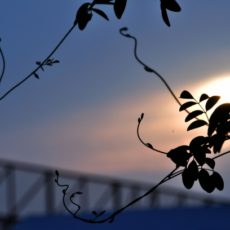 La frustración no ganará la batalla La frustración no ganará la batalla