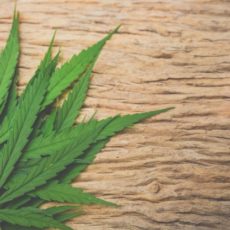 Adicción a las drogas. Lo que debes saber Adicción a las drogas. Lo que debes saber