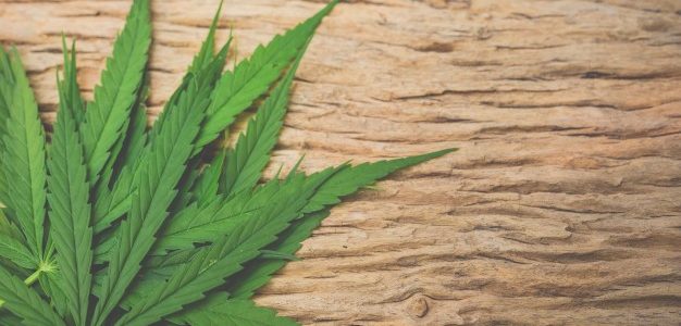 Adicción a las drogas. Lo que debes saber